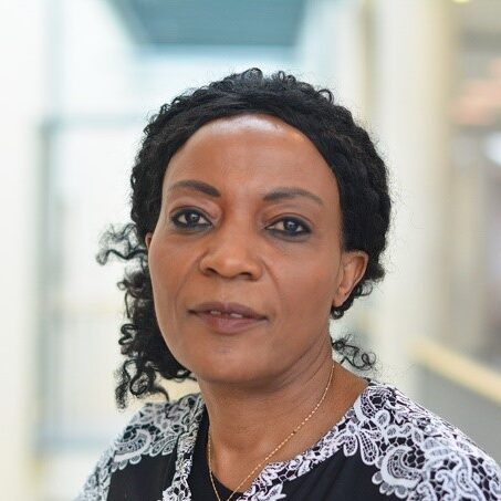 Professor Dr Sarah Wamala Andersson