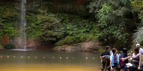 Natural and cultural attractions