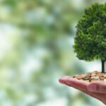 Sarawak’s Transition to a Green Economy: A Low-Carbon Perspective